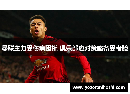 曼联主力受伤病困扰 俱乐部应对策略备受考验